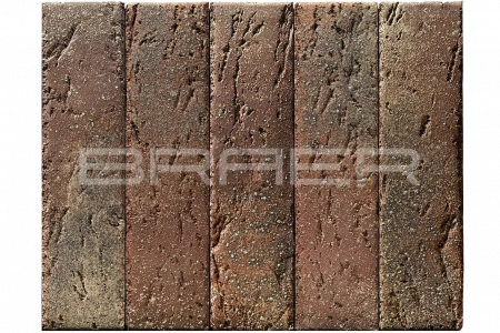 BRAER PRO 55.08.1 Braer по недорогой цене в Екатеринбурге